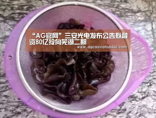 “AG官网”三安光电发布公告拟融资80亿投向芜湖二期(图3) AG综合