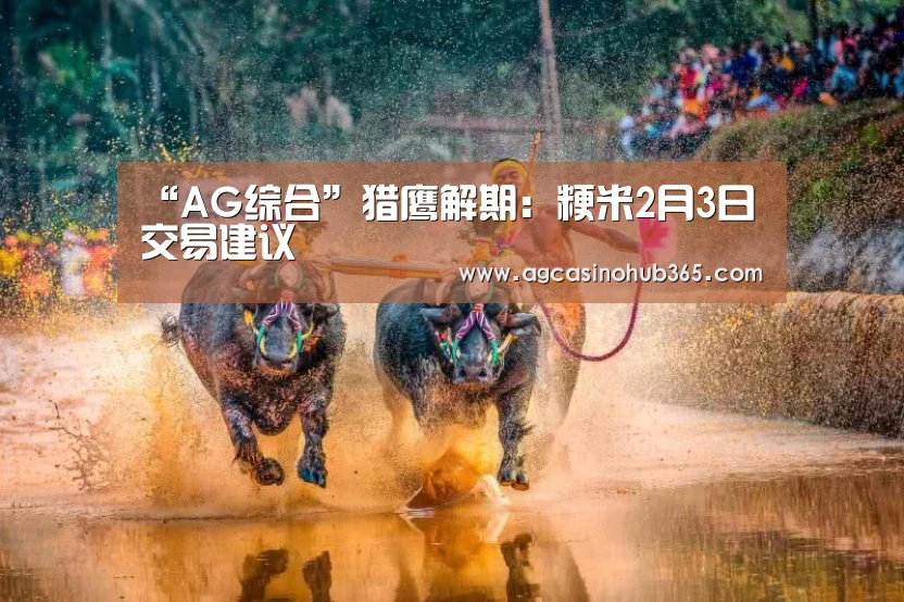 AG百家乐